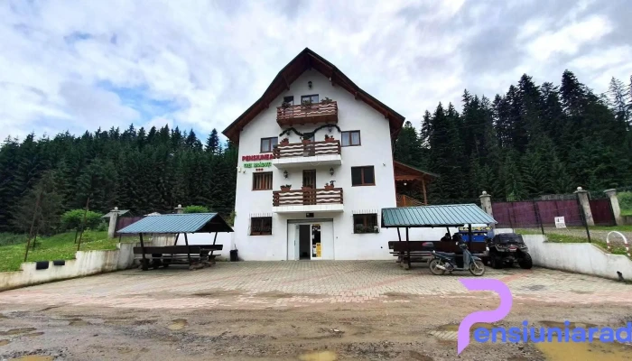 Pensiunea Trei Braduti - Brodina De Jos