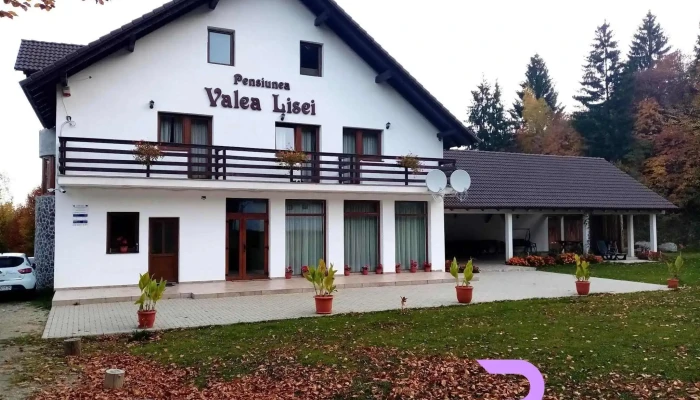 Pensiunea Valea Lisei -  Exterior - Lisa