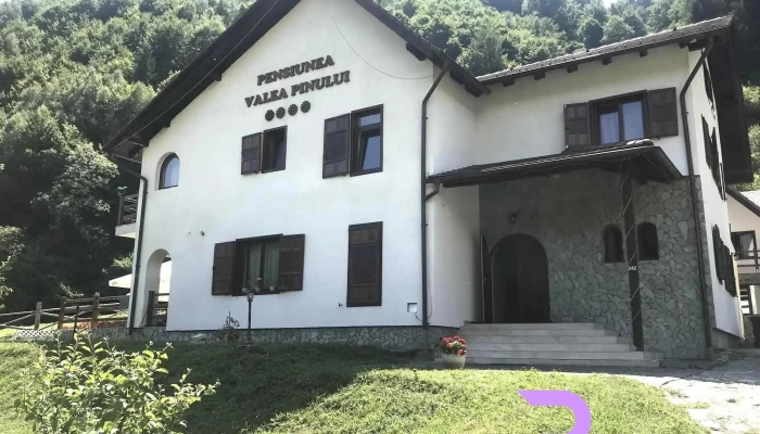 Pensiunea Valea Pinuluirau Saduluisibiu De La Proprietar - Râu Sadului