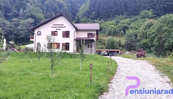Pensiunea Valea Pinuluirau Saduluisibiu Videoclipuri - Râu Sadului