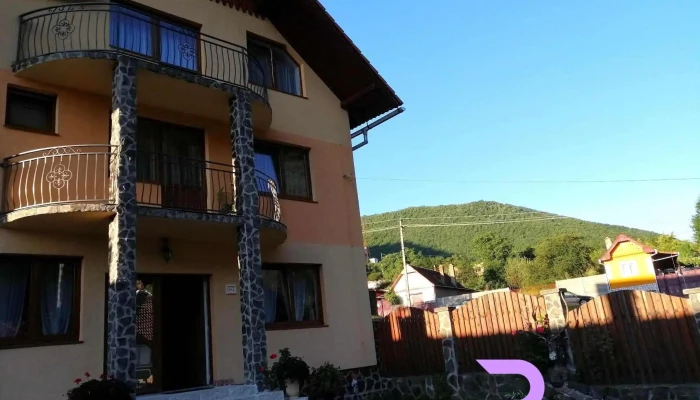 Pensiunea Vatafu Exterior - Gura Râului