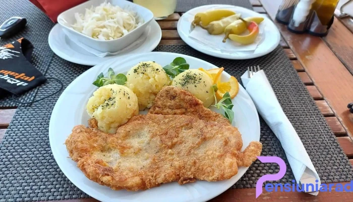 Pensiunea Zerind -  Mancaruribauturi - Zerind