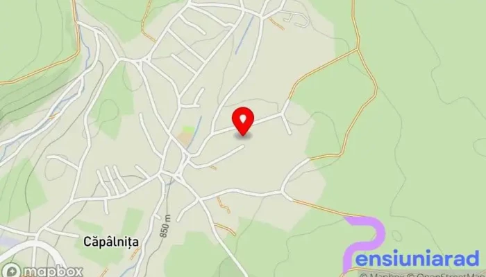 Pensiunea Zorita Hartă - Căpâlnița