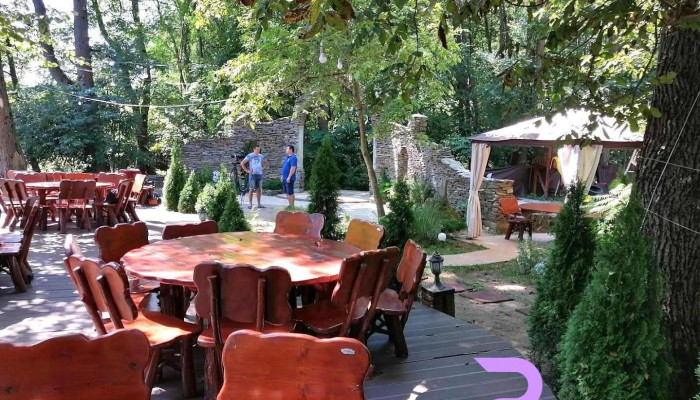 Pentru Tine Prietene - Arcani