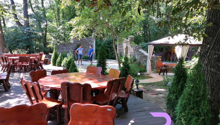 Pentru Tine Prietene -  Program - Arcani