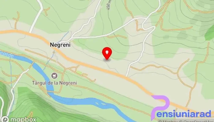Piata Vechituri Negreni -  Hartă - Negreni