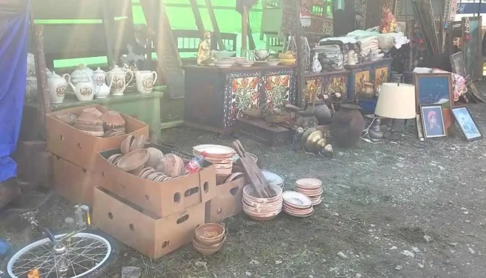 Piata vechituri Negreni - Negreni