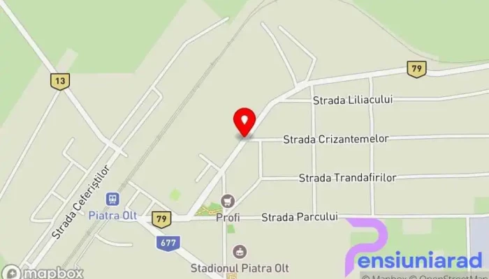 Piatra -  Olt Hartă - Piatra-olt