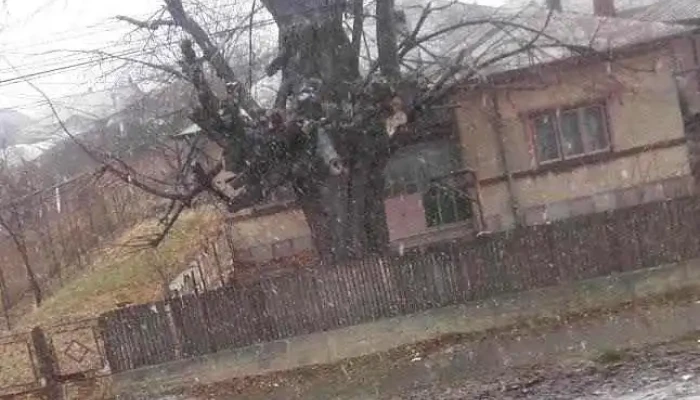 Pietroșani - Pietroșani