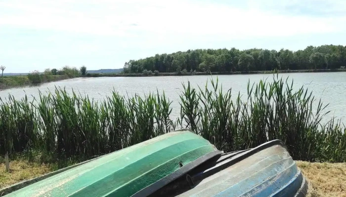 Plaza Lake -  Cele Mai Recente - Rojişte