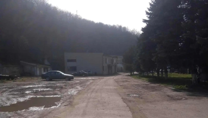 Podgoria Silvania -  Promoție - Șimleu Silvaniei
