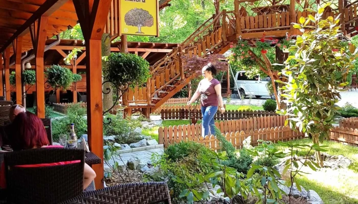 Popas Dumbravita   Sala Evenimente Restaurant Si Cazare Atmosfera - Dn23