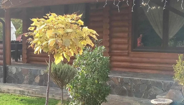 Popasul Pietroasa -  Număr - Negrești-oaș