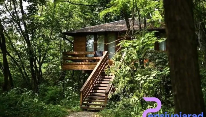 Porumbacu Treehouse -  Adresă - Porumbacu De Sus
