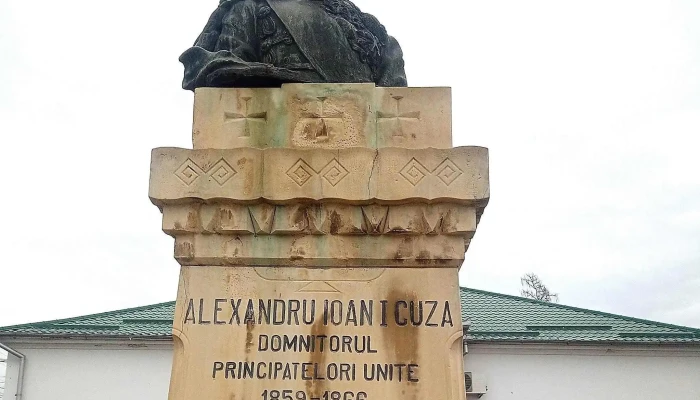 Primaria Cetate Comentarii - Cetate