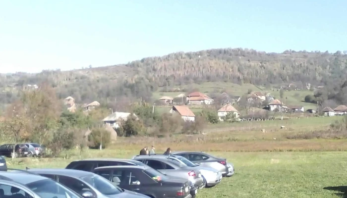 Primaria Comunei Negreni Program - Negreni