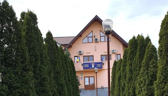Primaria Curtesti Curtești - Curtești