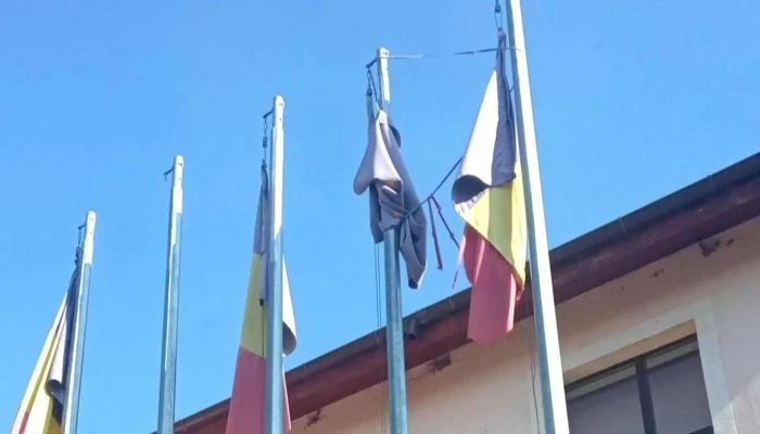 Primaria Focuri Deschis Acum - Focuri