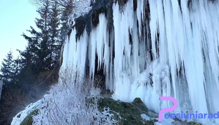 Primaria Galautas Videoclipuri - Gălăuțaș