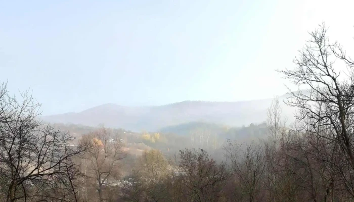 Primaria Gura Calitei Prețuri - Gura Caliței