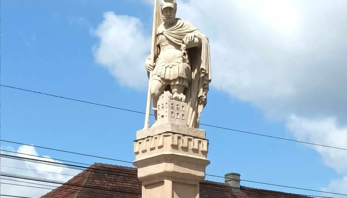 Primaria Jimbolia Prețuri - Jimbolia