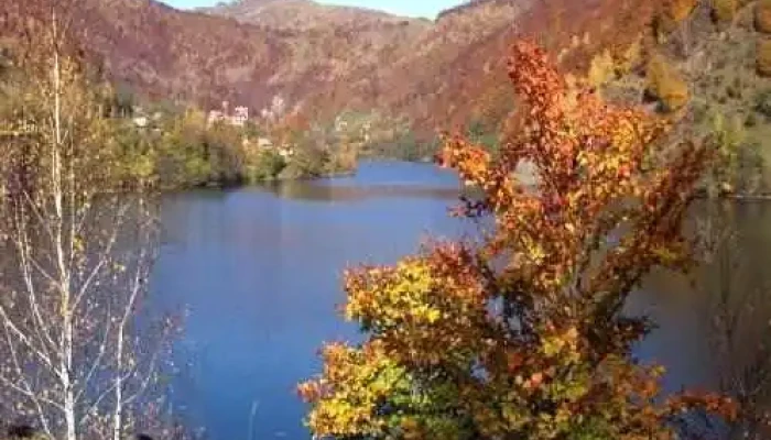 Primaria Malaia De La Proprietar - Mălaia