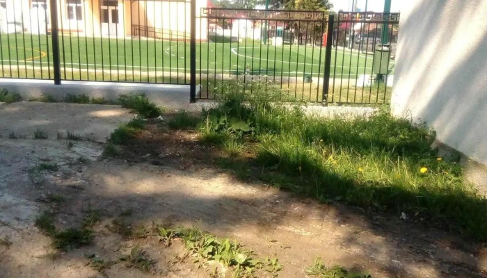 Primaria Manastirea Casin Peisaj - Mănăstirea Cașin