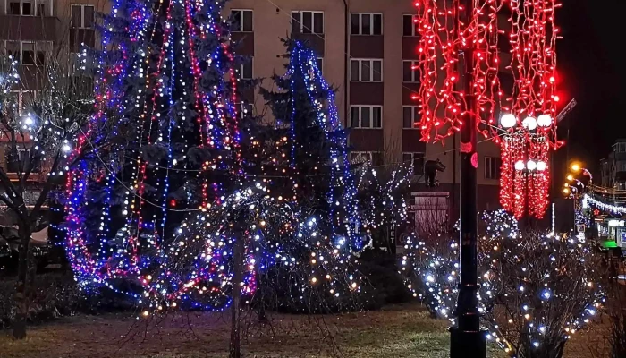 Primaria Municipiului Toplita Număr - Toplița