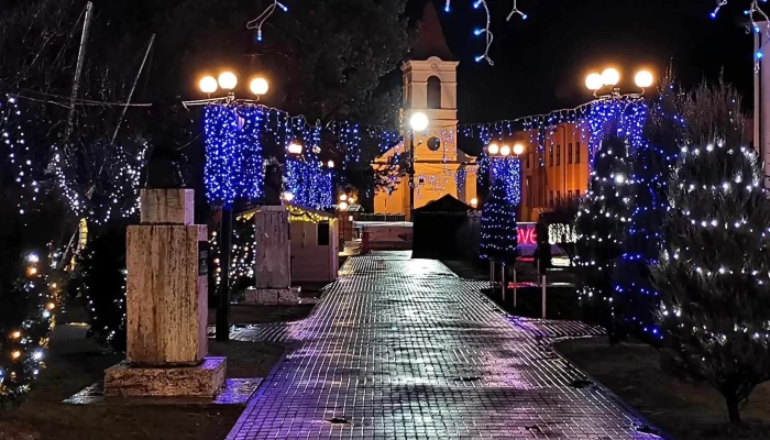 Primaria Municipiului Toplita Toplița - Toplița
