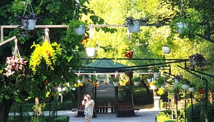 Primaria Orasului Bals Cum Să Ajungi Acolo - Balș