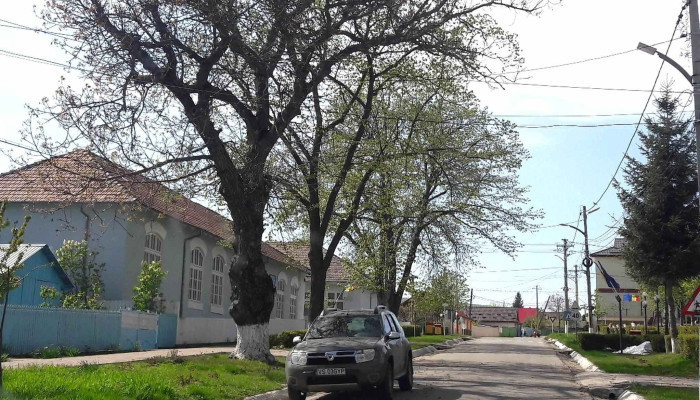 Primaria Padureni Fotografii - Pădureni