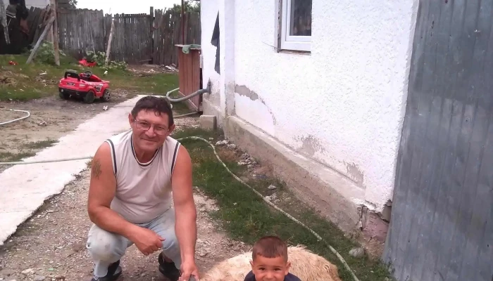 Primaria Rosiile Instagram - Roşiile