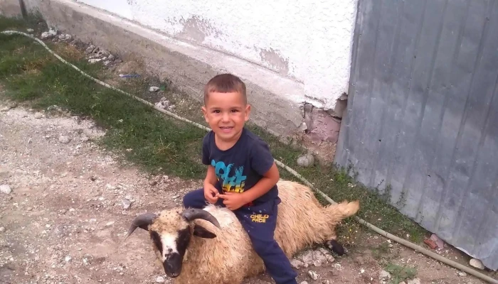 Primaria Rosiile Roşiile - Roşiile
