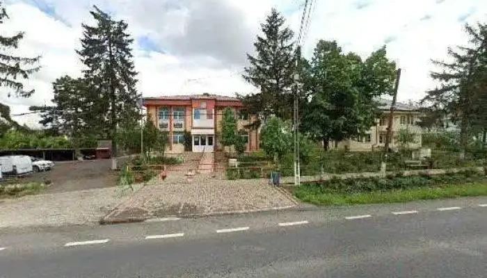 Primaria Sfantu Gheorghe Street View Si 360deg - Sfântu Gheorghe