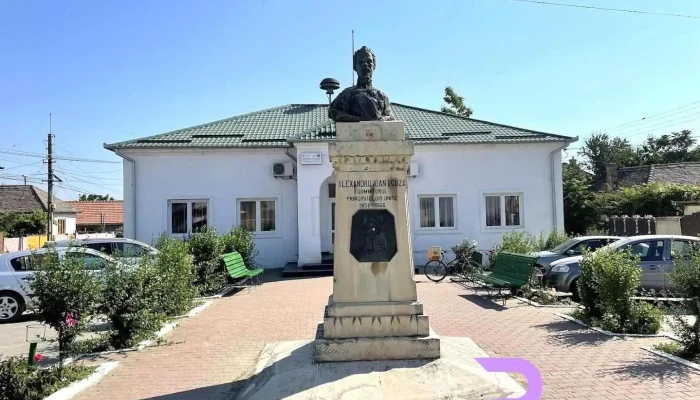 Primăria Cetate - Cetate