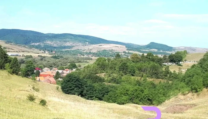Primăria Căpușu Mare - Căpușu Mare