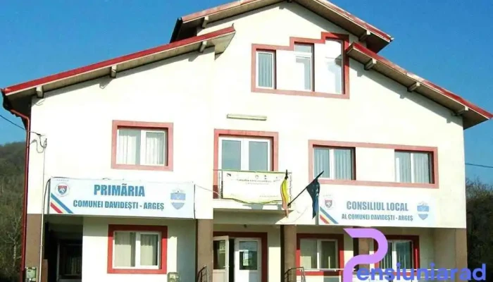 Primăria Davidești - România