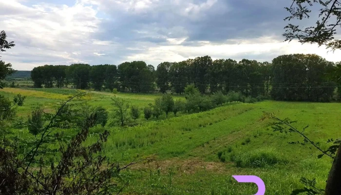 Primăria Gornet-Cricov - România