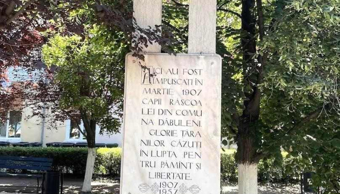 Primăria Orașului Dăbuleni - Dăbuleni
