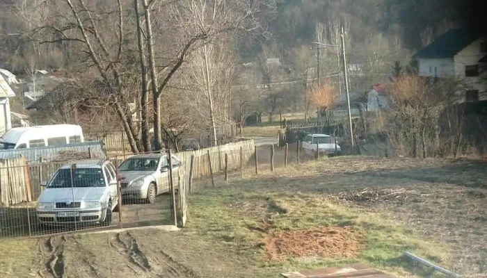Primăria Surani - 231
