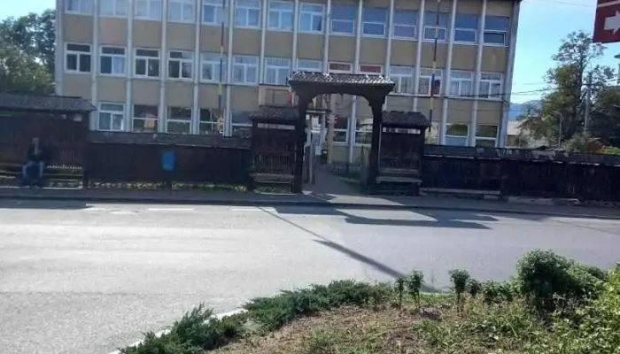 Primăria Târgu Lăpuș - Târgu Lăpuș