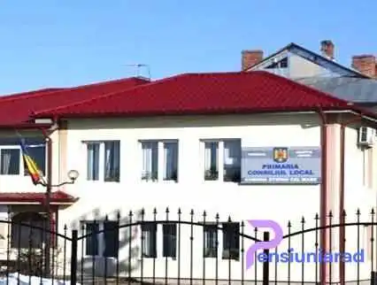Primăria Ștefan cel Mare - 805