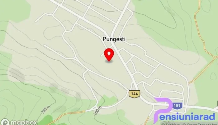 Pungesti Hartă - Pungești