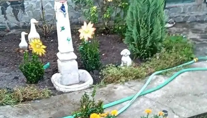 Puturi Zonă - Puțuri