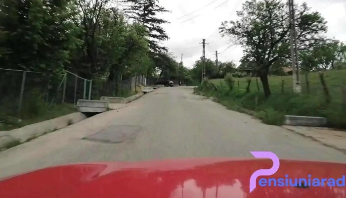 Radacinesti Videoclipuri - Rădăcinești