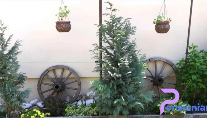 Rasnov Retreat -  De La Vizitatori - Râșnov