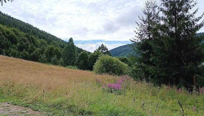 Râul Vărşag - Vărșag