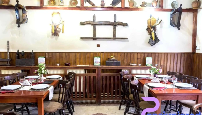 Restaurant   Pensiune Casa Alba Atmosfera - Baia De Aramă