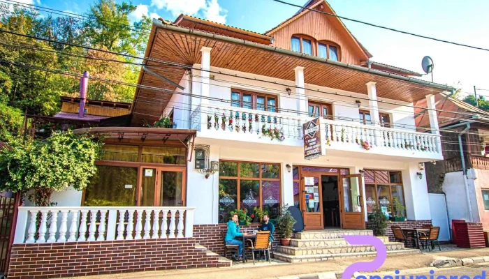 Restaurant   Pensiune Casa Alba De La Proprietar - Baia De Aramă