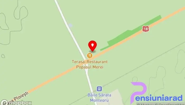 Restaurant Grand Maestro Popasul Merei -  Hartă - Merei